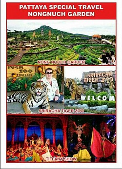 พัทยา สวนงนุช และโชว์ต่างๆ